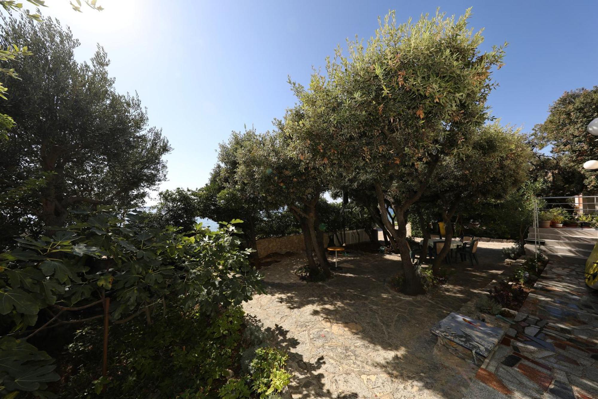 Horizonte Apartman Mandre Dış mekan fotoğraf
